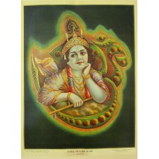 Shree Krishna In Om